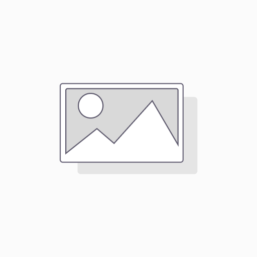 تخصيص وتطوير خاص